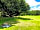 Wild Combe Camping: Each pitch has a firepit and pallet