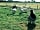 Hornblotton Farm: Chilling out with coffee watching the sheep