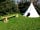 Wassell Grove Camping and Caravanning