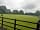 Sussex Topiary Campsite: Flat grass pitches (photo added by manager on 28/06/2021)
