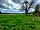 Haughton Park House Farm