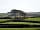 Markstone Farm Caravan and Camping: The Markstone trees