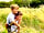 Fire and Stars Woodland Camping