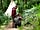 Wild Duck Holiday Park: Enjoying a woodland walk as part of the Nature Rocks activities on site