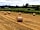 Keld Knowle Farm Holidays (Foto vom Platzbetreiber)