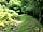 Buckhall Farm: Walks nearby (photo added by manager on 13/07/2023)