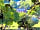 Brook House Farm Camping and Caravan Site