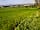 Pitch on the Wall Campsite: View over the surrounding countryside