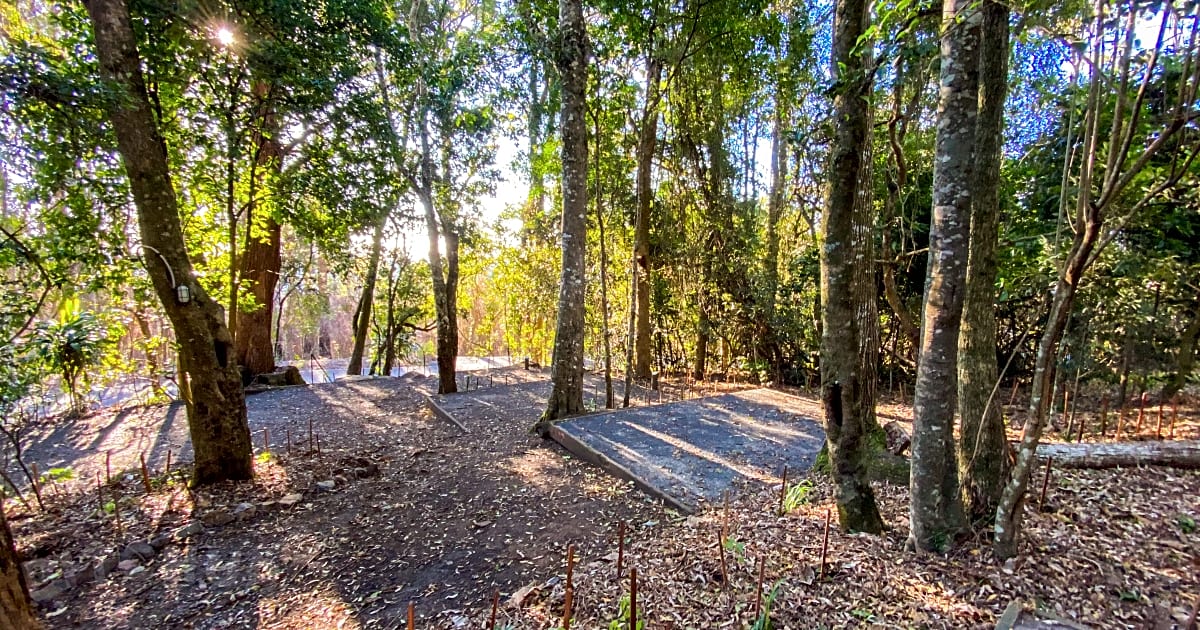 Binna Burra Campground, Beechmont Updated 2021 prices Pitchup®