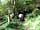 Long Mountain Centre: Riding in the woods (photo added by manager on 10/05/2018)