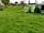 New Farm (фото добавлено  04.05.2022)