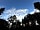 Redwood Valley - Woodland Cabin and Yurts: Looking up to the sky above the tree canopy (photo added by manager on 10/07/2018)