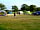 Camping at The Manor: The field