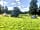 Cricket Field Campsite: Outdoor breaks in Gloucestershire