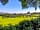 Leadstone Camping: Looking across Field 2
