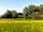 Tents on The Went: Field on the site