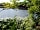 Tamar Lakes Campsite: The lake