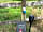 Five Wyches Farm Camping: Robin's retreat is our first electric grass pitch, with solar light and firepit. Close to the Glade. (photo added by manager on 21/07/2023)