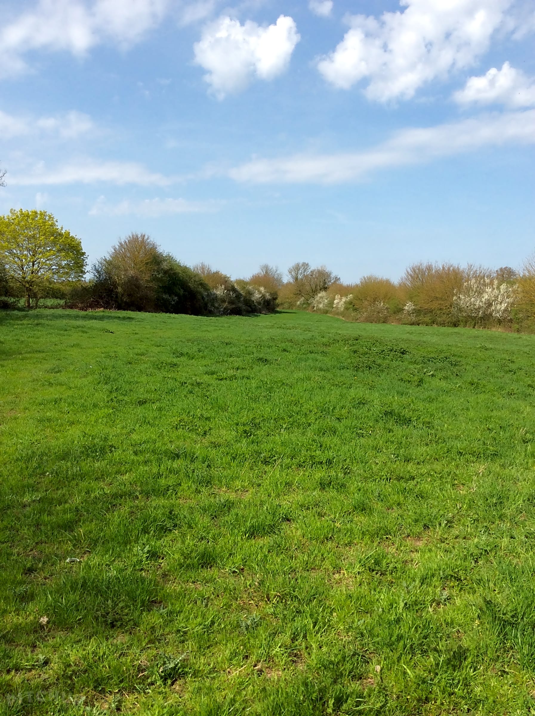 Waldegrave Farm, Bury St Edmunds Updated 2020 prices Pitchup®