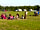 Ebborways Farm: Enjoying the sunshine