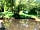 Meadow Tree Farm: Pond
