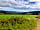 Allercott Farm: View from the edge of the field looking north