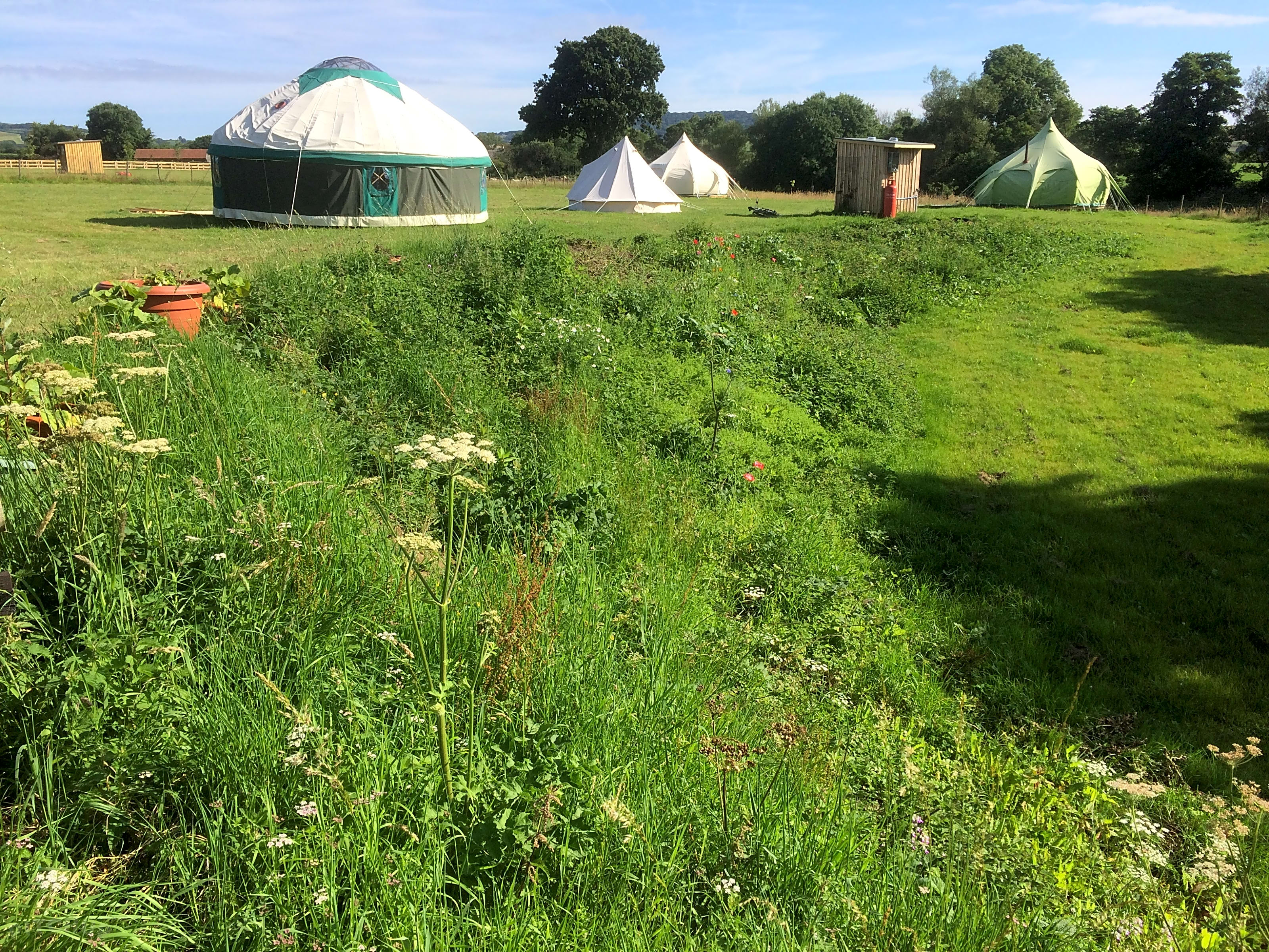 Pilsdon View Camping, Bridport Updated 2019 prices Pitchup®