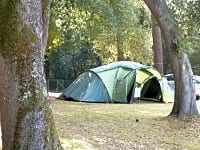 Pitches among the trees Pitches among the trees