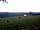 Out to Grass: View over the pitches