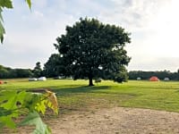Parcel·la de gespa sense electricitat per a tenda de campanya Paddock (2 adults i 4 nens)