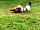 Moss Hagg Farm Campsite: My feathered friends.