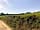 Torre View Farm: View of the neighbours' field over the hedge