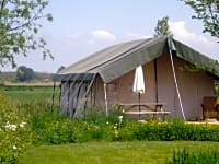 Brabantse tent Brabantse tent