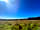 Exmoor Blueberries: View from the tent pitches