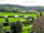 Mains Farm Camping and Caravan Site: Grass pitches (photo added by manager)