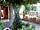 Ye Olde Swan: Water feature in the garden (photo added by manager on 21/11/2018)