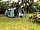 Meadow Tree Farm: Great forest pitch