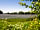 Broadhembury Caravan and Camping Park: Fields around the site