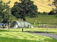 grass tent pitch grass tent pitch
