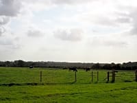 Working dairy farm Working dairy farm