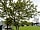 Cherry Tree Park