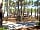 Parque Orbitur Valado: Camping area