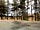 Ledgowan Lodge: Pitches in the woods