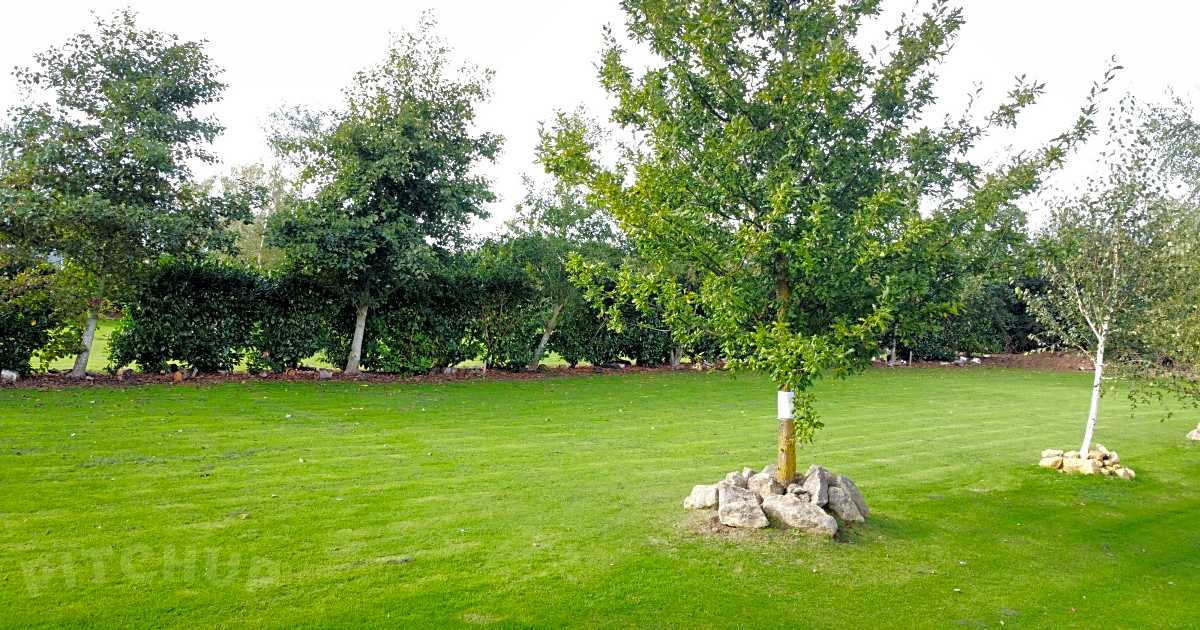 Gloucester Camping at Court Farm, Twigworth Updated 2024 prices Gloucester Camping at Court Farm, Twigworth Updated 2024 prices