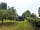 Huntsham Bridge Camping: Secluded spot by the willow tree
