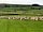 Shay Gate Farm: Coming to get you…