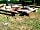 Bikers Camp (Foto hochgeladen vom Platzbetreiber am 18.07.2019)
