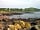 Castle Point Caravan Site: Rockcliffe beach (photo added by manager on 23/05/2015)