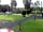 Disserth Caravan and Camping Park: Pitches
