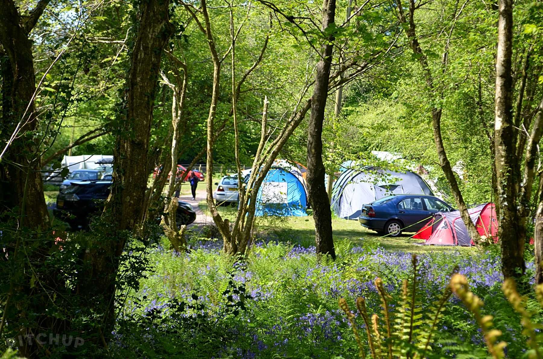 Campsites in Devon Verified open campsites, Easy booking